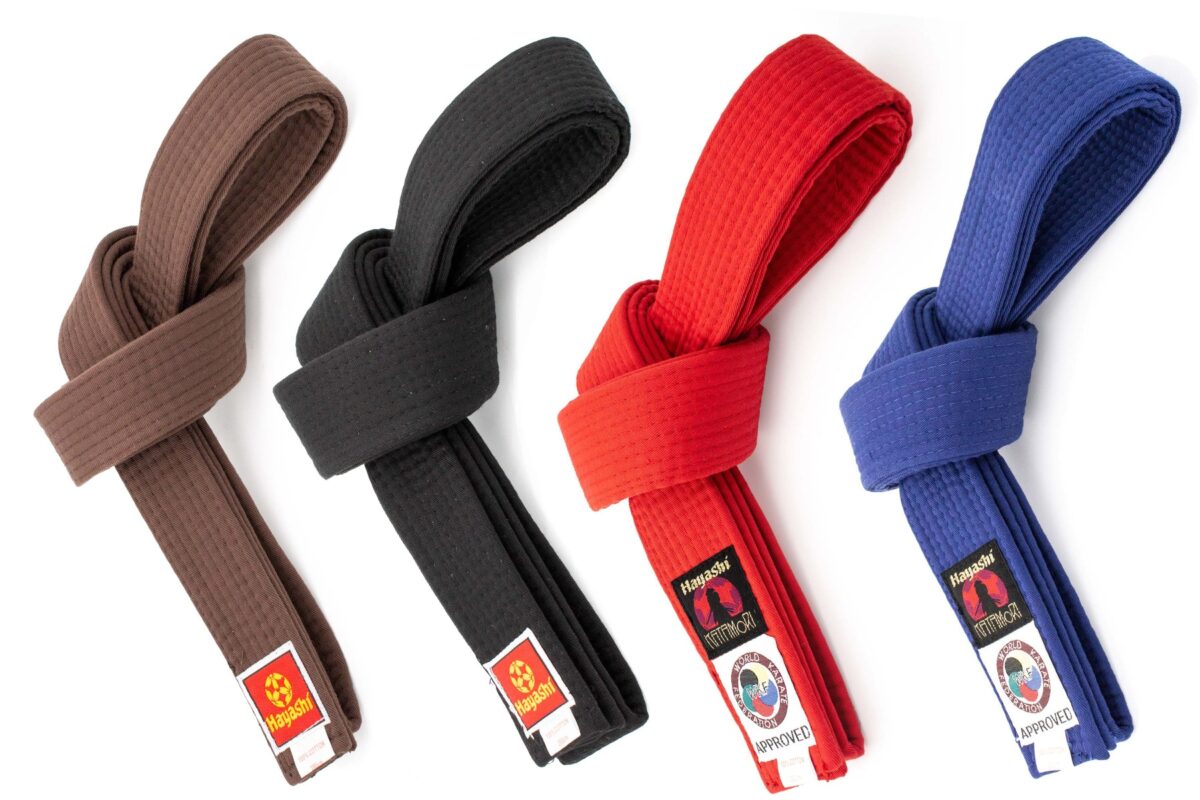 Ceinture de budo 0501 – Image 1
