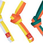 Ceinture de budo bicolore 054