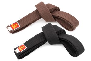 Ceinture de budo