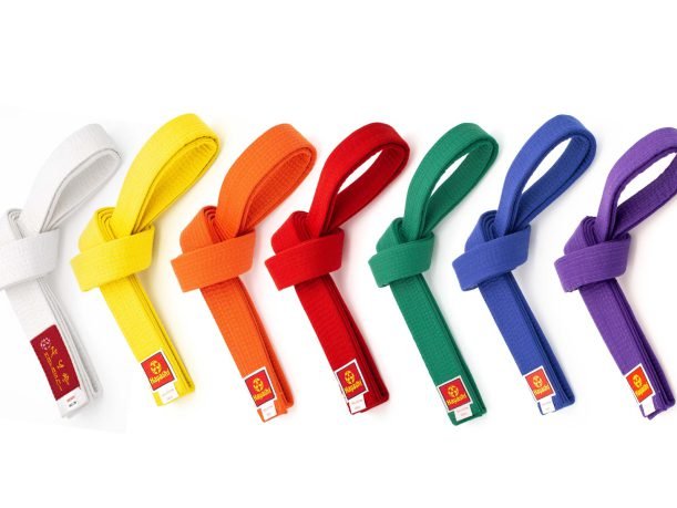 Ceinture de budo