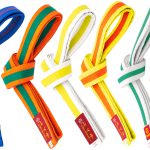 Ceinture de budo bicolore 052