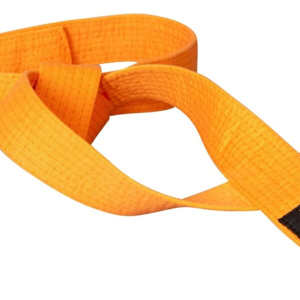 Ceinture de Budo « CAMPING CHATS » - orange