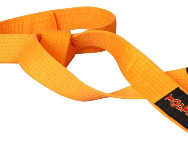 Ceinture de Budo « CAMPING CHATS » – orange