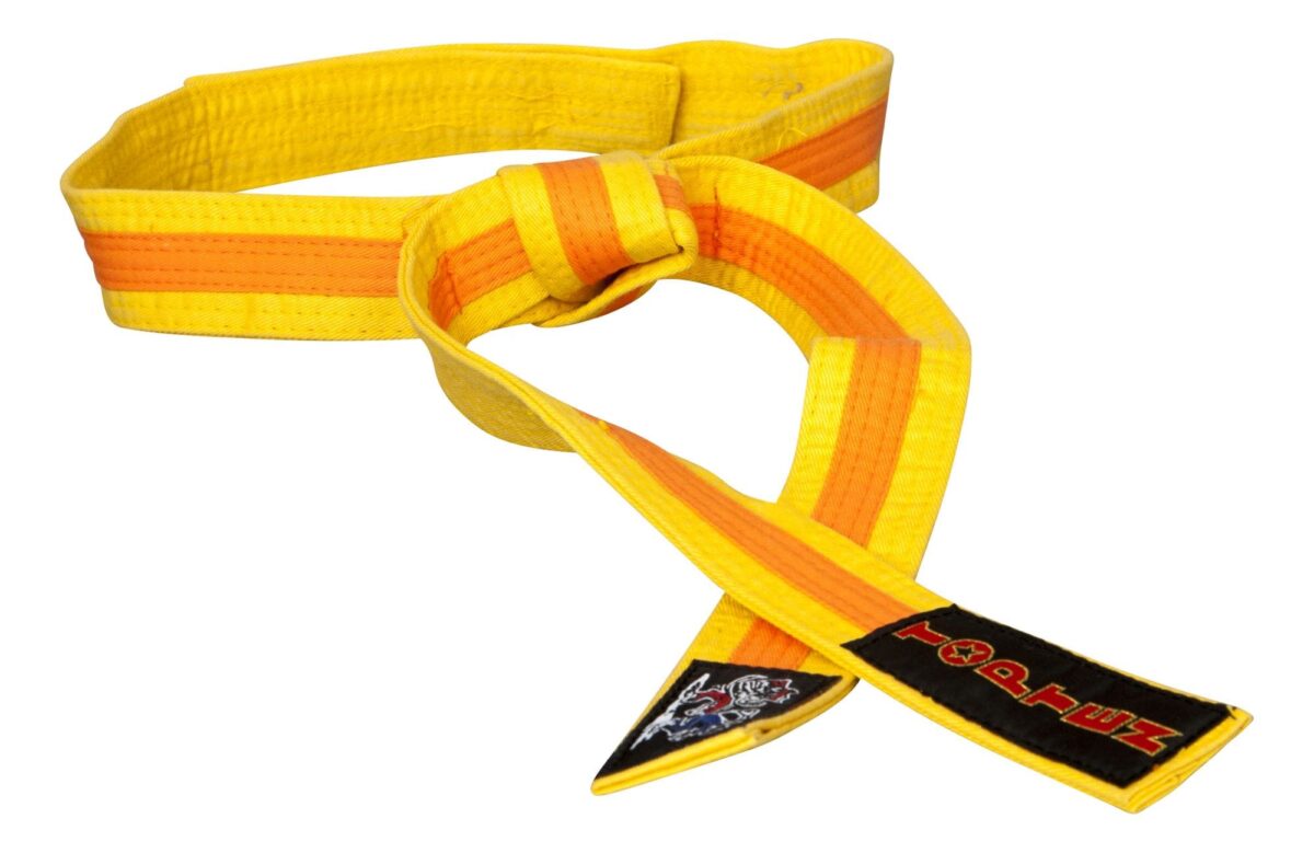 Ceinture de Budo « CHATS DE CAMPAGNE » bicolore – Image 1