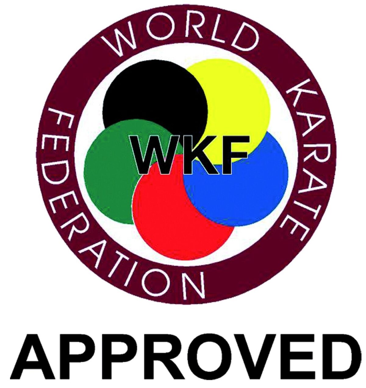 Protection de pied de karaté (WKF approved) – Image 3