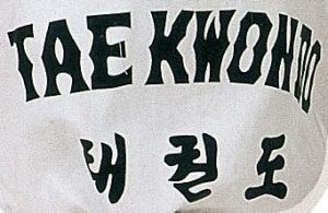 Taekwon-Do Dobok « Taeguk » (avec impression au dos) – blanc, taille 160 cm