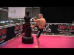 Mannequin autonome « Punchboy » – Image 2