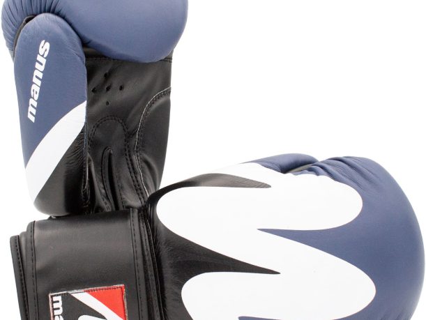 Gants de boxe « 2019 cuir »