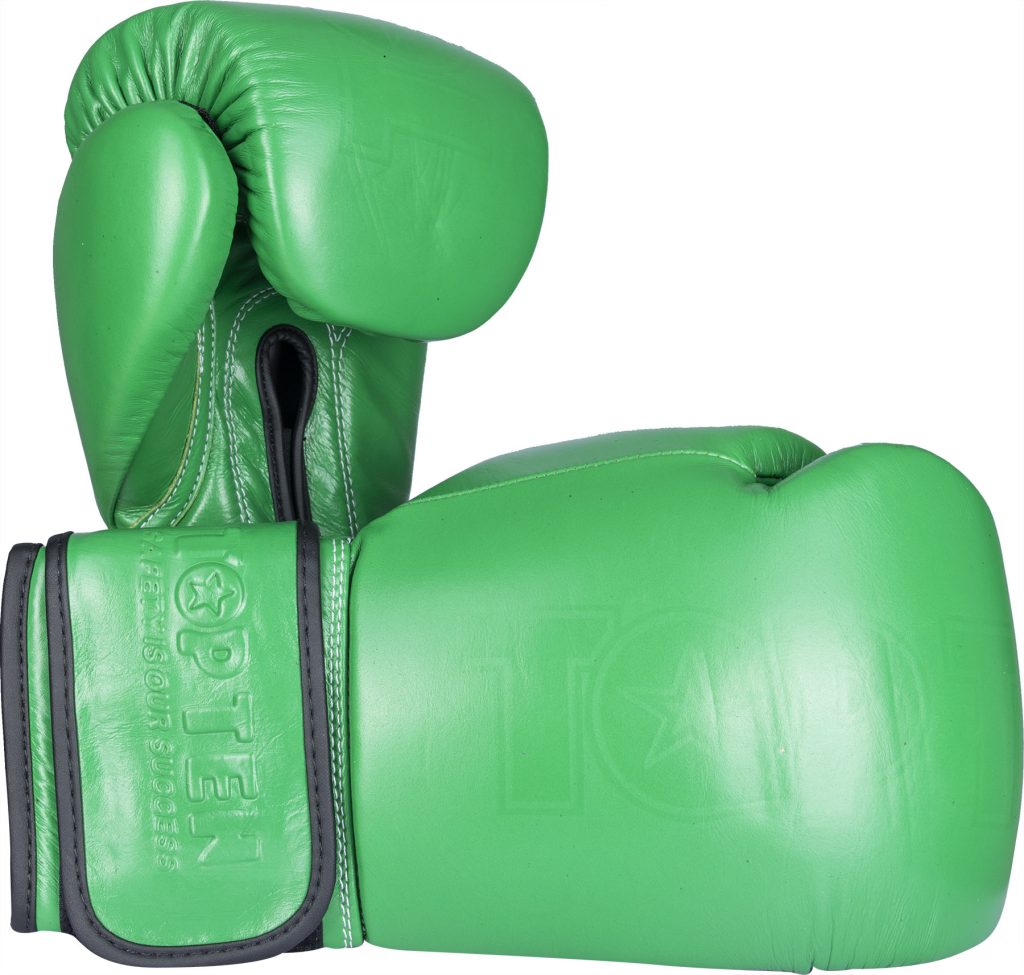 Gants de boxe « Color`n`Color »