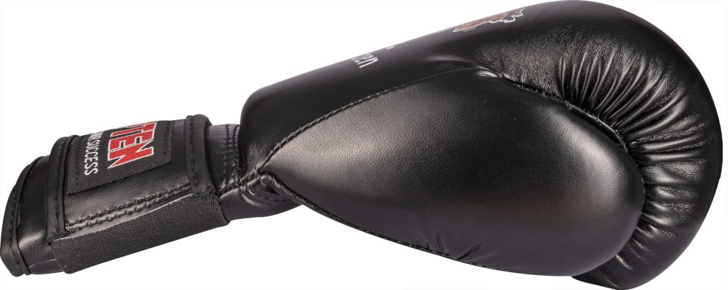 Gants de boxe « chats de combat »