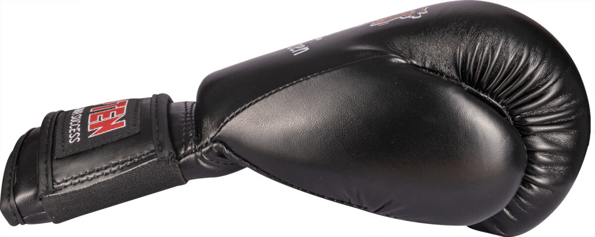 Gants de boxe « chats de combat » – Image 3