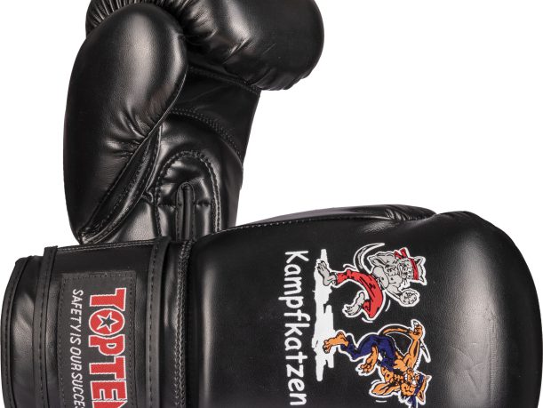 Gants de boxe « chats de combat »