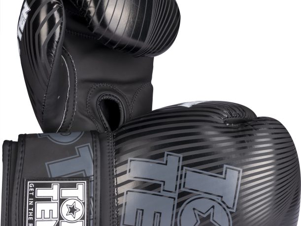 Gants de boxe « Vectory »