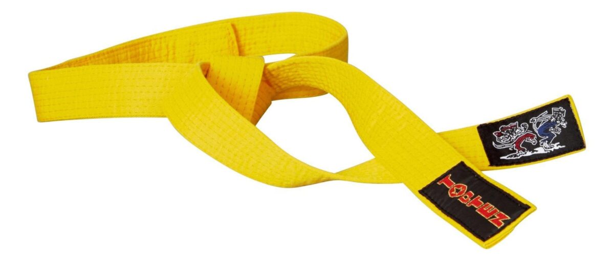 Ceinture de Budo « CAMPING CHATS » - jaune – Image 1
