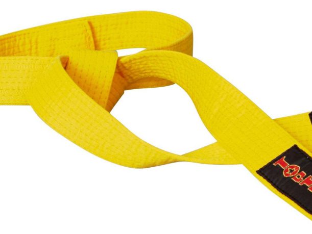 Ceinture de Budo « CAMPING CHATS » – jaune