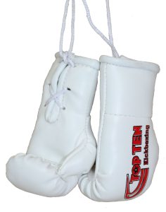 Mini gants de boxe « TOP TEN Kickboxing »