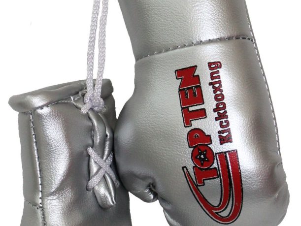 Mini-gants de boxe « TOP TEN Kickboxing » – argenté