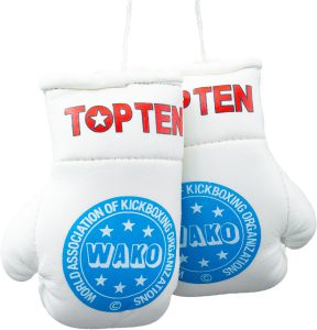 Mini gants de boxe « WAKO Pro »