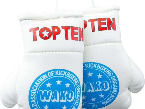 Mini gants de boxe « WAKO Pro » – blanc