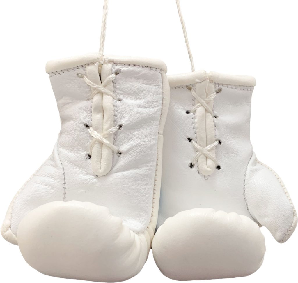 Mini gants de boxe « WAKO Pro » – blanc