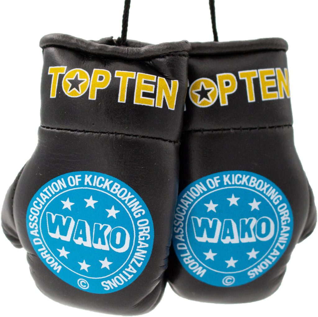 Mini gants de boxe « WAKO Pro »