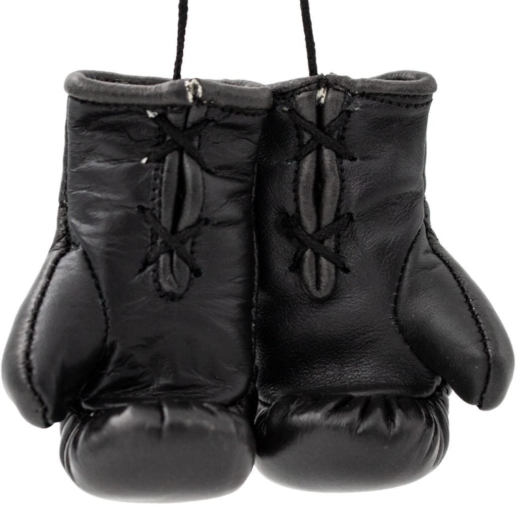 Mini gants de boxe « WAKO Pro »