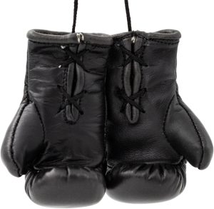 Mini gants de boxe « WAKO Pro » – noir