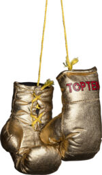 Mini gants de boxe « TOP TEN »