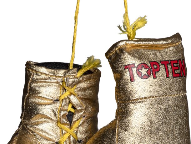 Mini gants de boxe « TOP TEN »