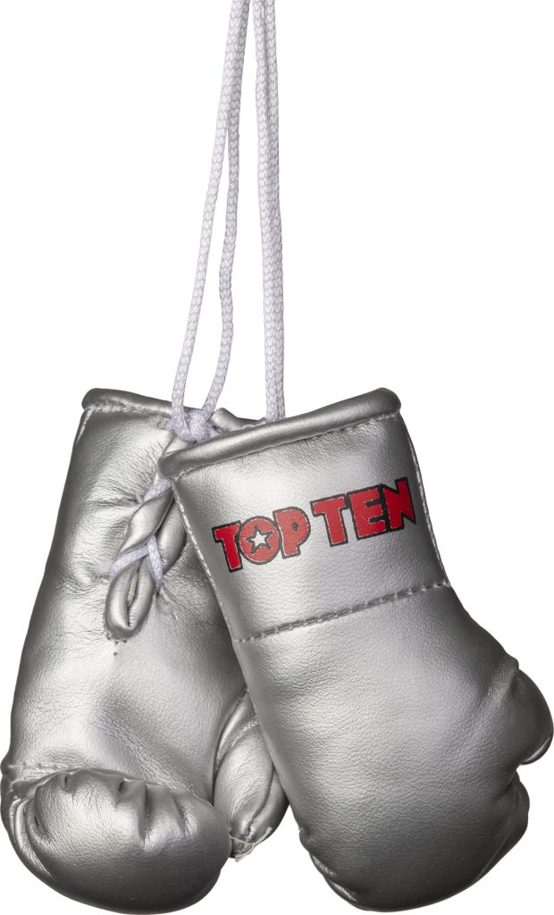 Mini gants de boxe « TOP TEN »