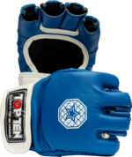 Gants MMA « Striking C-Type »