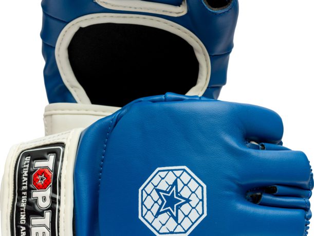Gants MMA « Striking C-Type »