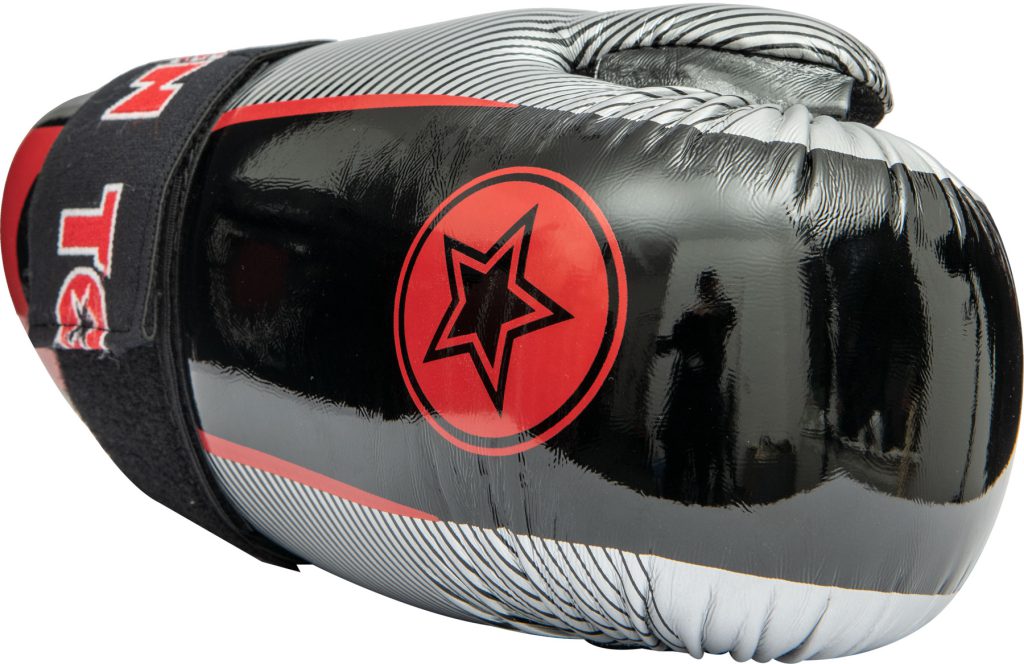 Pointfighter Glossy « Star & Stripes »