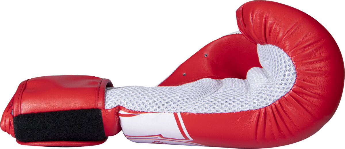 Gants de boxe « NK 3 » – Image 9