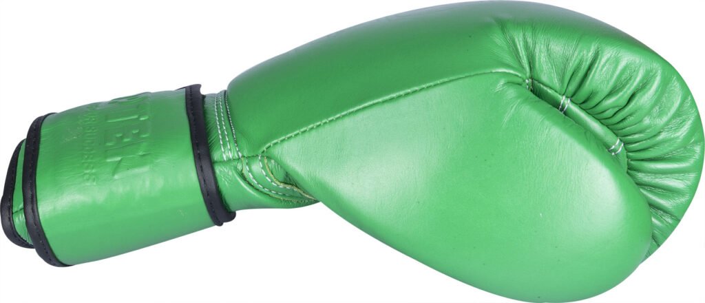 Gants de boxe « Color`n`Color »