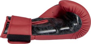 Gants de boxe « Dragon »