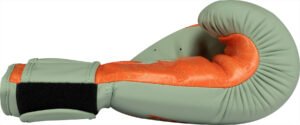 Gants de boxe « Dragon »