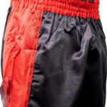 Short de kickboxing « Dragon »