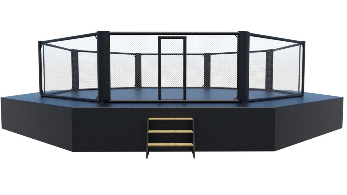 Cage MMA avec bordure - Image 2